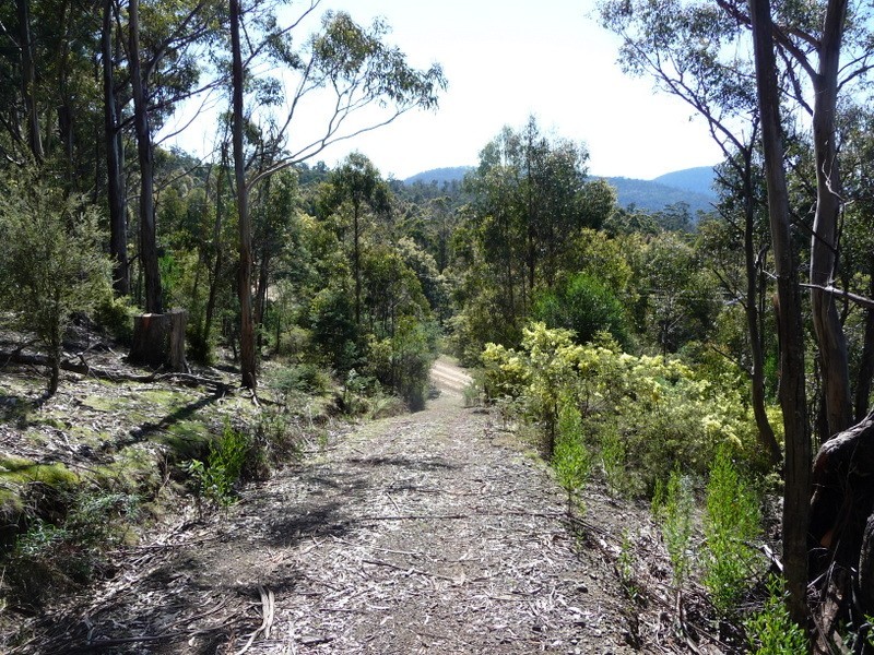 Lot 4 Wielangta Road, Kellevie TAS 7176