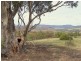 772 Brinktop Road, Orielton TAS 7172