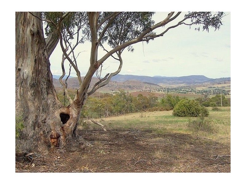 772 Brinktop Road, Orielton TAS 7172