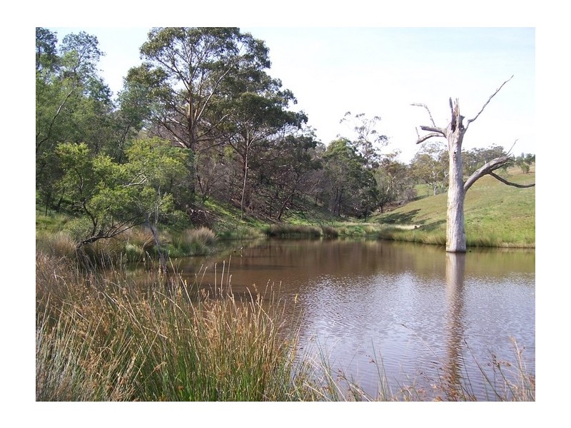 772 Brinktop Road, Orielton TAS 7172