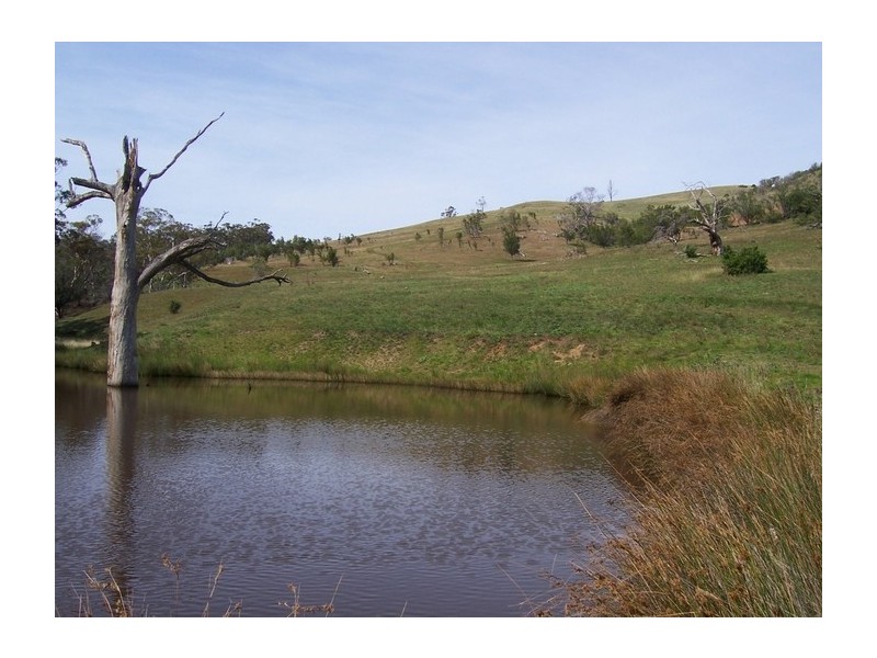 772 Brinktop Road, Orielton TAS 7172