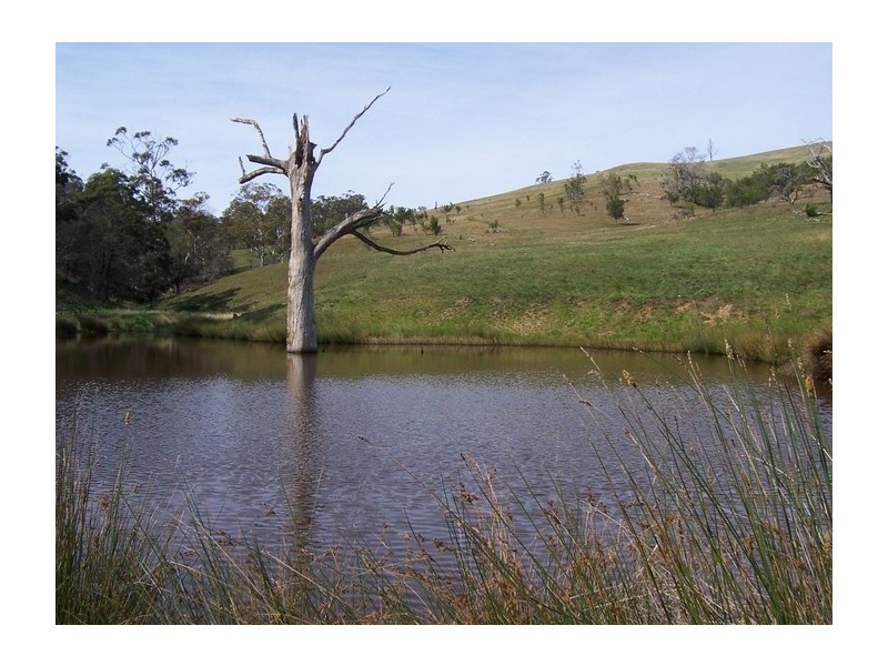 772 Brinktop Road, Orielton TAS 7172