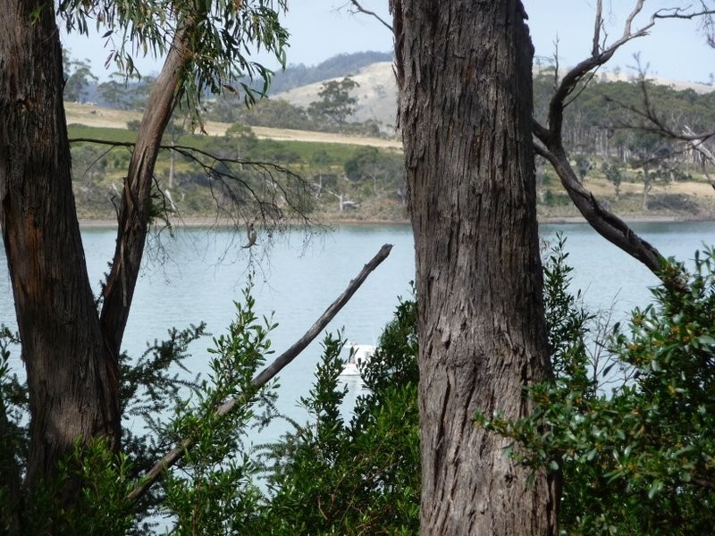 81 Susans Bay Road, Primrose Sands TAS 7173