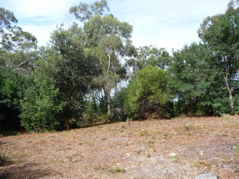 81 Susans Bay Road, Primrose Sands TAS 7173