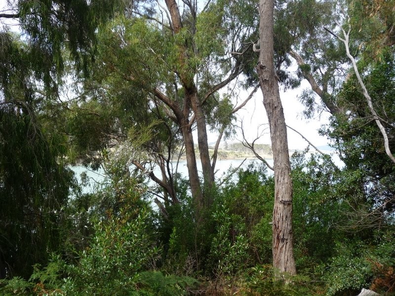 81 Susans Bay Road, Primrose Sands TAS 7173