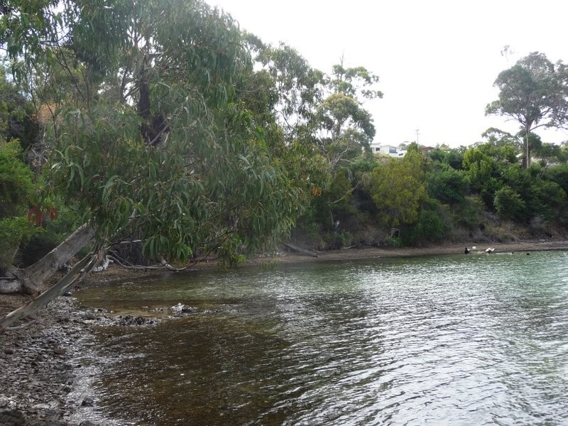 81 Susans Bay Road, Primrose Sands TAS 7173