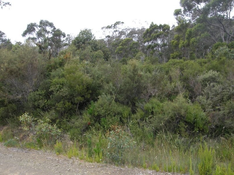 Lot 2 Lillian Street, Taranna TAS 7180