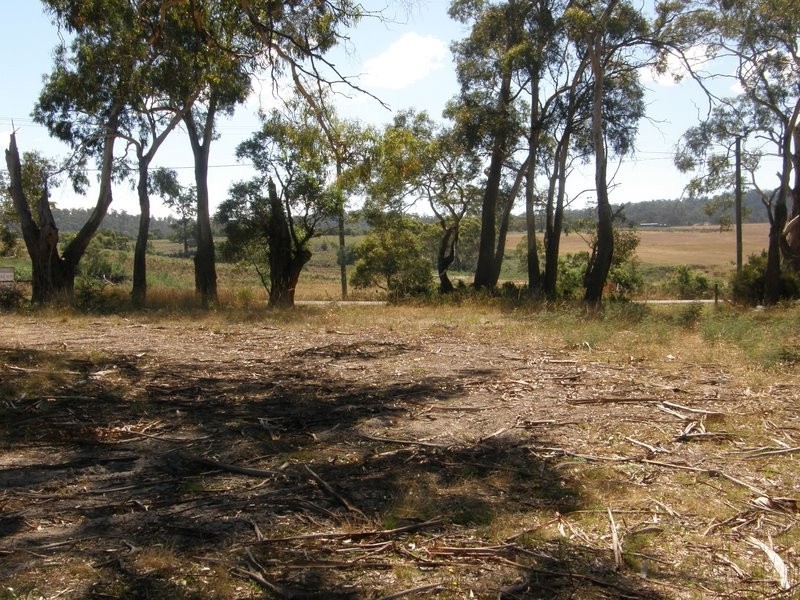 444 Carlton River Road, Carlton River TAS 7173