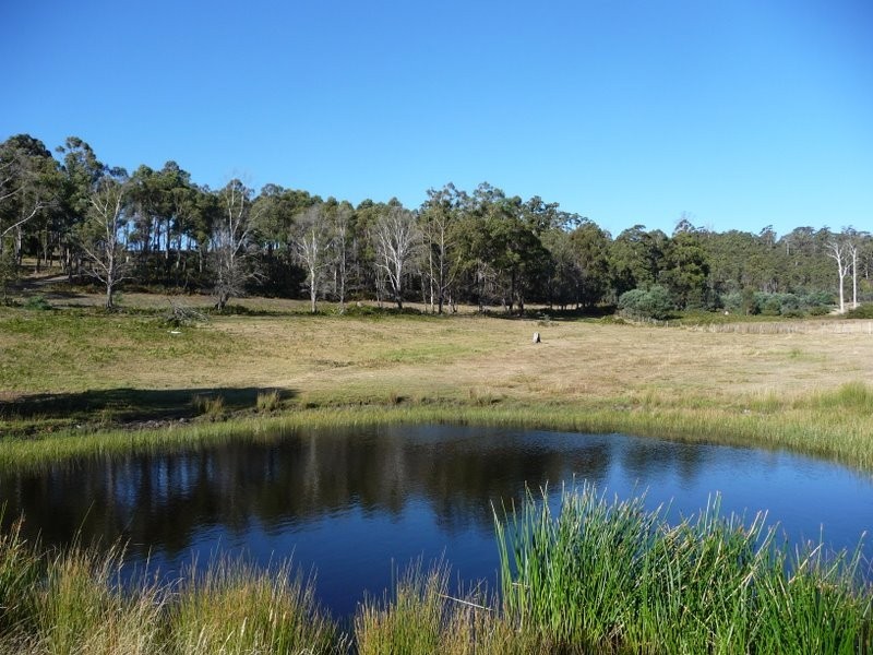 167 White Hill Road, Forcett TAS 7173
