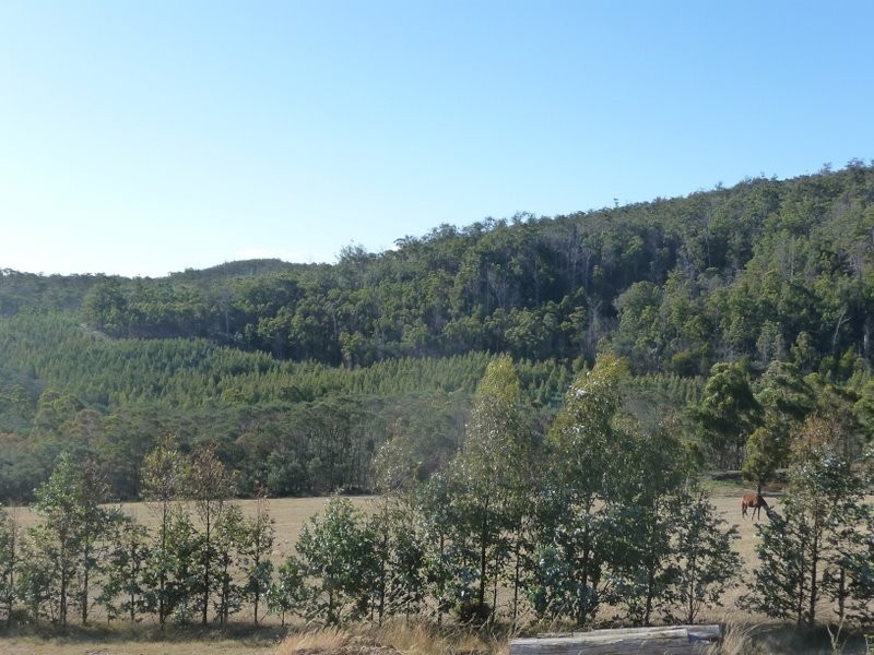 167 White Hill Road, Forcett TAS 7173