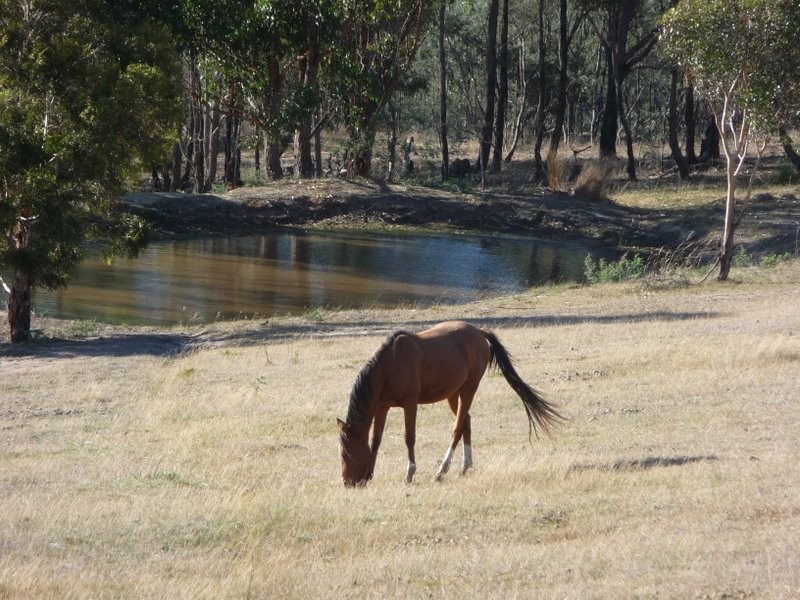 167 White Hill Road, Forcett TAS 7173