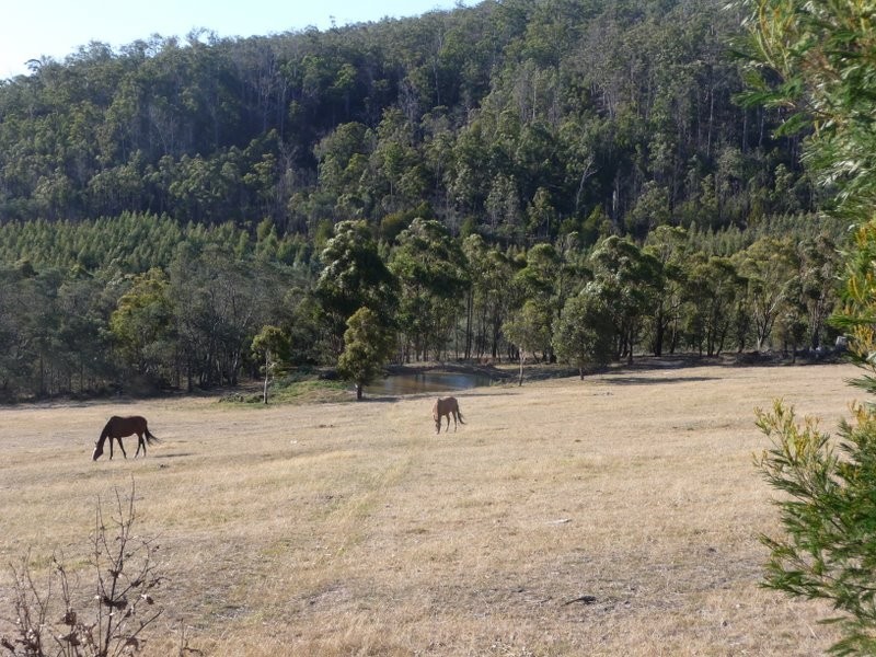 167 White Hill Road, Forcett TAS 7173