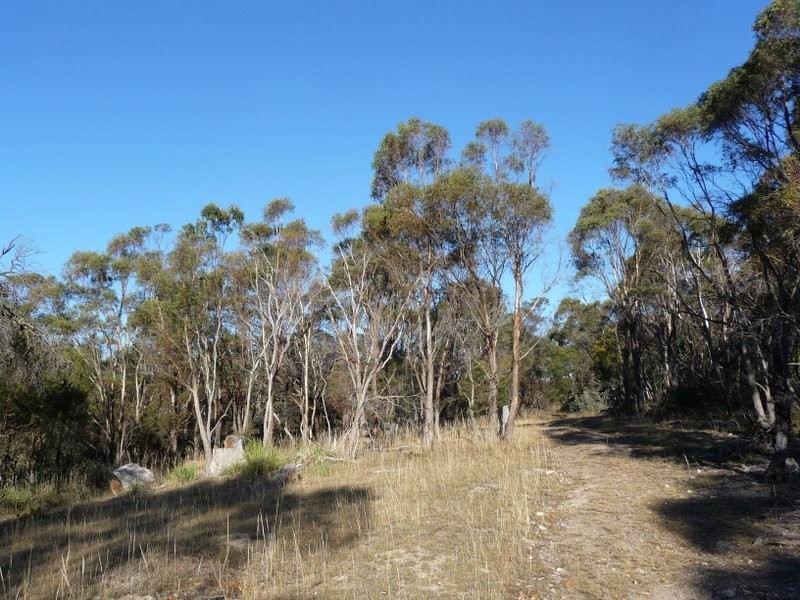 167 White Hill Road, Forcett TAS 7173