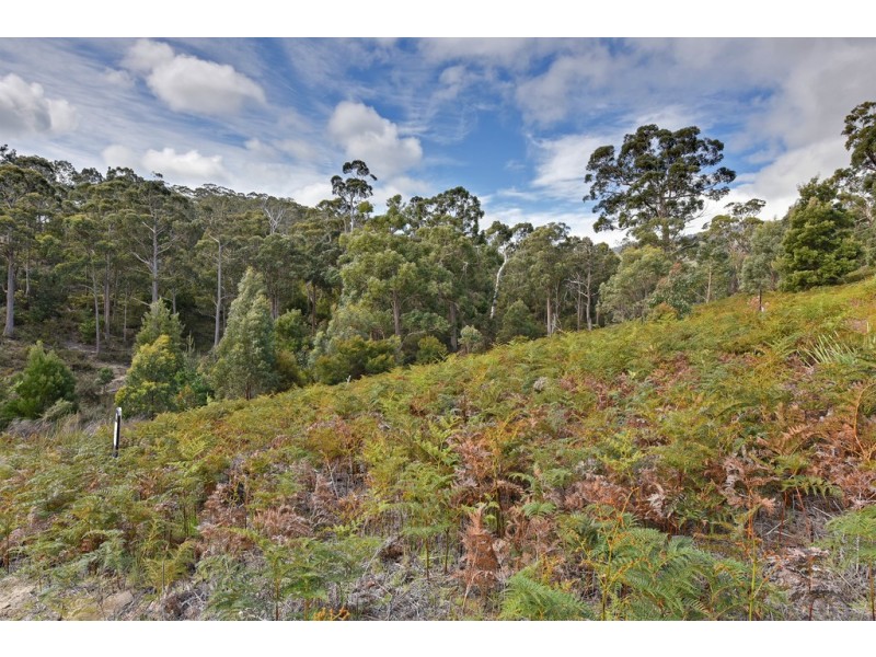 19 Jennings Crescent, Nubeena TAS 7184