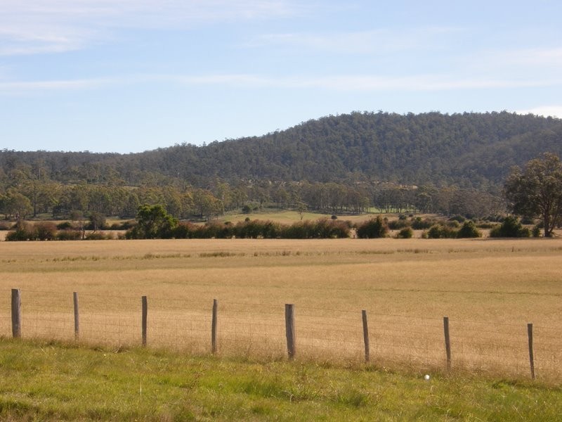 Lot 1 Tasman Highway, Runnymede TAS 7190