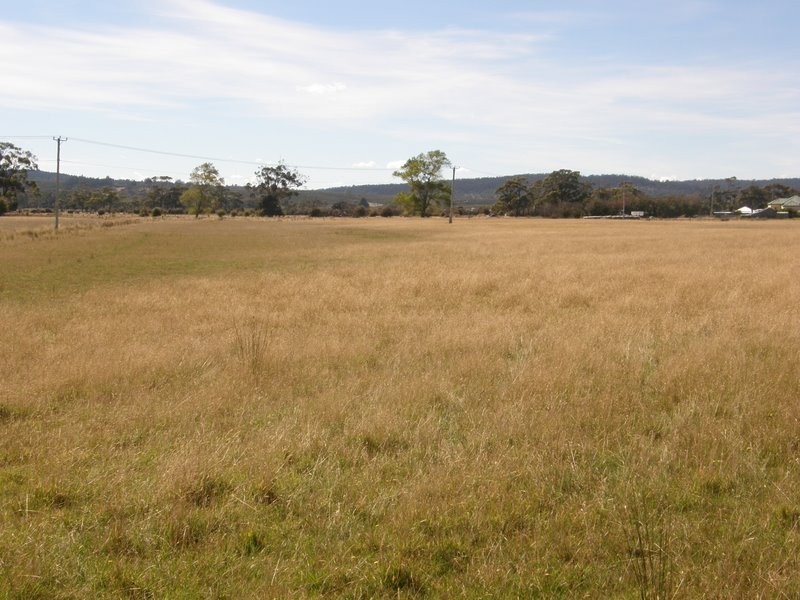 Lot 1 Tasman Highway, Runnymede TAS 7190