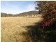Lot 1 Tasman Highway, Runnymede TAS 7190