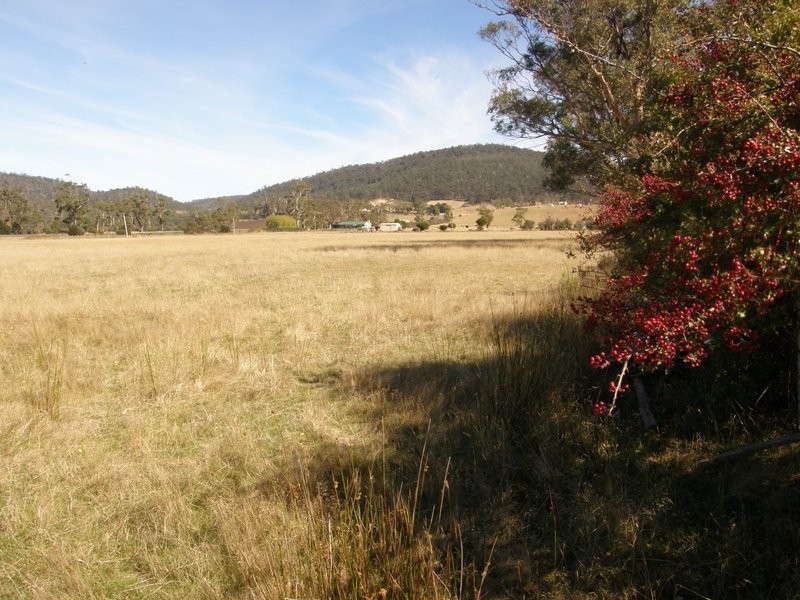 Lot 1 Tasman Highway, Runnymede TAS 7190