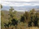 181 White Hills Road, Forcett TAS 7173