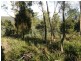 181 White Hills Road, Forcett TAS 7173
