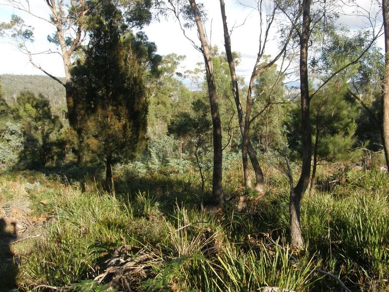 181 White Hills Road, Forcett TAS 7173