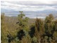 181 White Hills Road, Forcett TAS 7173