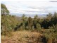 181 White Hills Road, Forcett TAS 7173