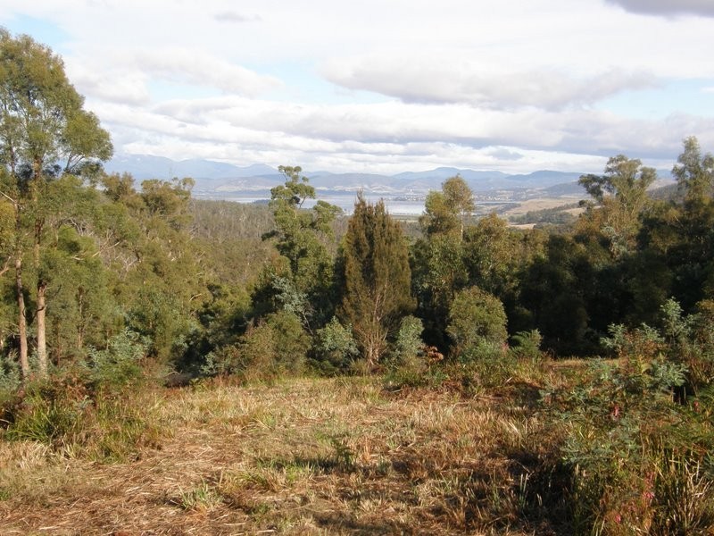 181 White Hills Road, Forcett TAS 7173