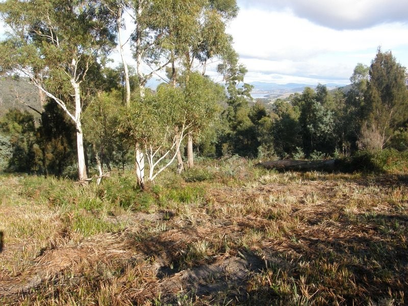 181 White Hills Road, Forcett TAS 7173