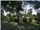 28 Erle Street, Carlton River TAS 7173