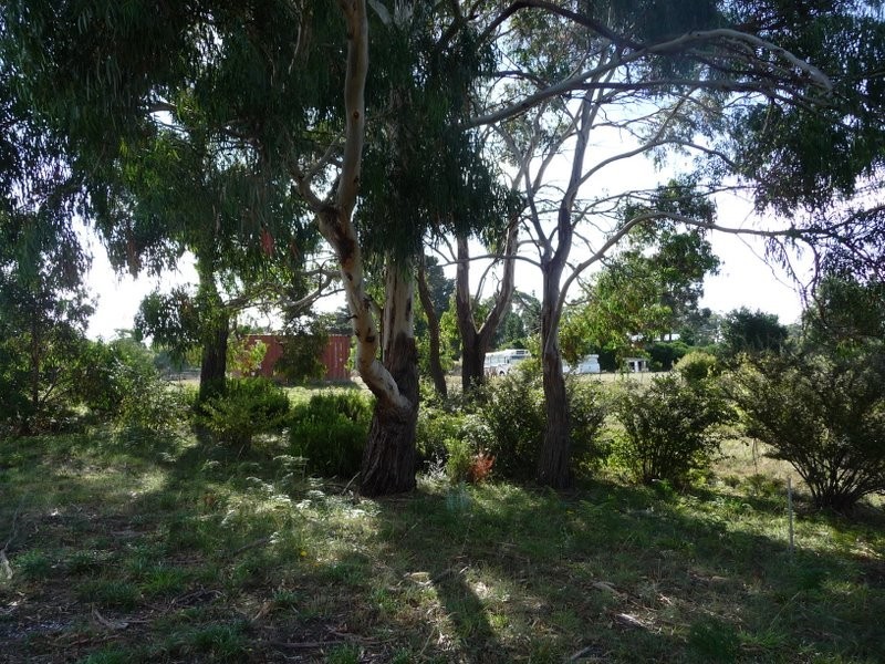 28 Erle Street, Carlton River TAS 7173
