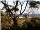 Lot 2 Roaring Beach Road, Nubeena TAS 7184