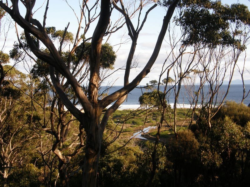 Lot 2 Roaring Beach Road, Nubeena TAS 7184