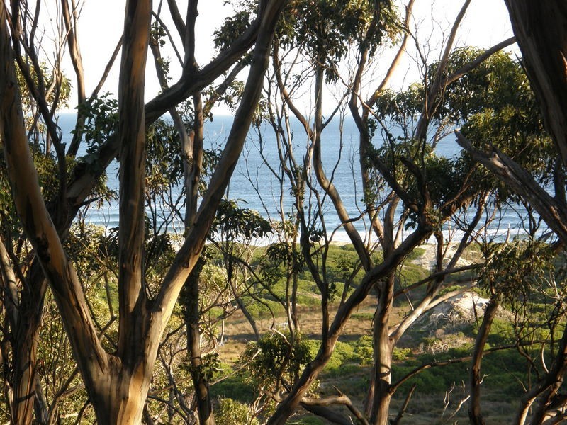 Lot 2 Roaring Beach Road, Nubeena TAS 7184