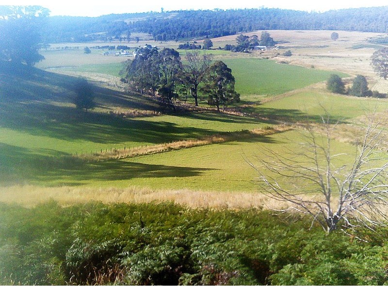 1094 Woodsdale Road, Levendale TAS 7120