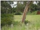 137  Jennings Court, Nubeena TAS 7184