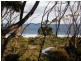 Lot 2 Roaring Beach Road, Nubeena TAS 7184