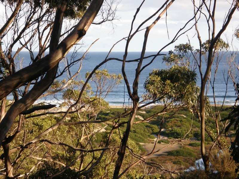Lot 2 Roaring Beach Road, Nubeena TAS 7184