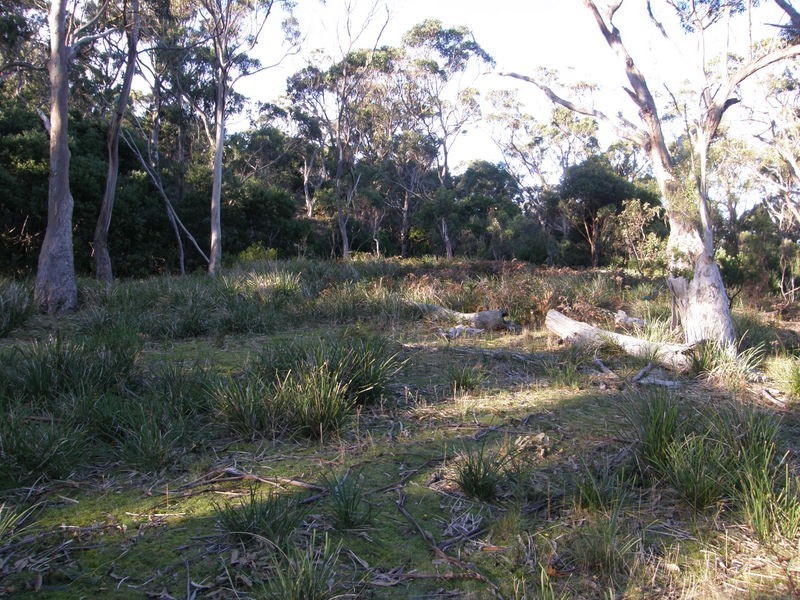 Lot 2 Roaring Beach Road, Nubeena TAS 7184