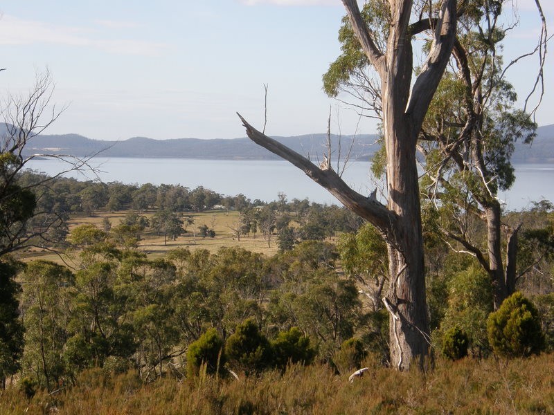 0 Gwandalan, Saltwater River TAS 7186