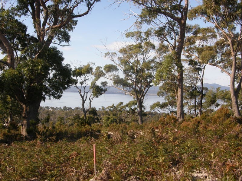 0 Gwandalan, Saltwater River TAS 7186