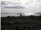 0 Gwandalan, Saltwater River TAS 7186