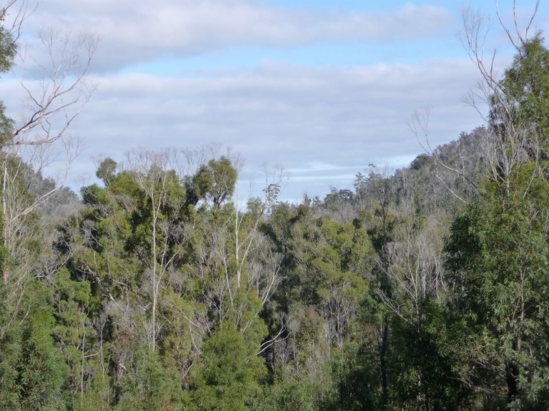 Lots 1 and 2 Kellevie Road, Kellevie TAS 7176