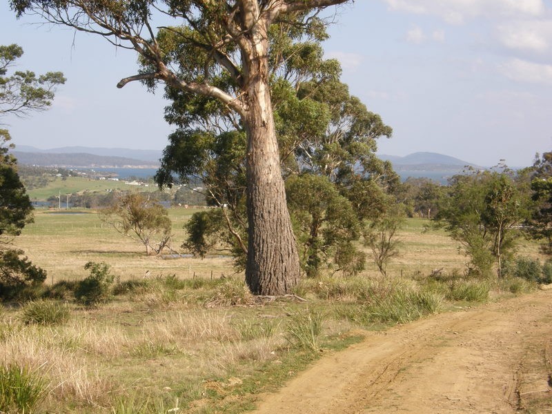 Lot 1 Josephs Road, Carlton TAS 7173