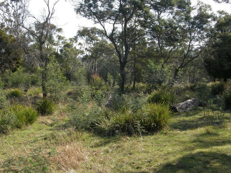 Lot 1 Josephs Road, Carlton TAS 7173