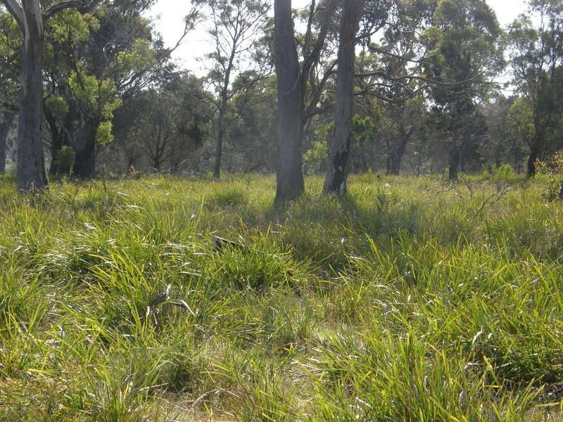 Lot 1 Josephs Road, Carlton TAS 7173