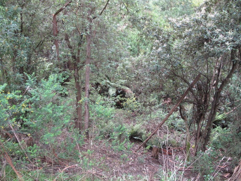 Lot 4 Woolleys Road, Kellevie TAS 7176