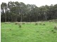Lot 4 Woolleys Road, Kellevie TAS 7176