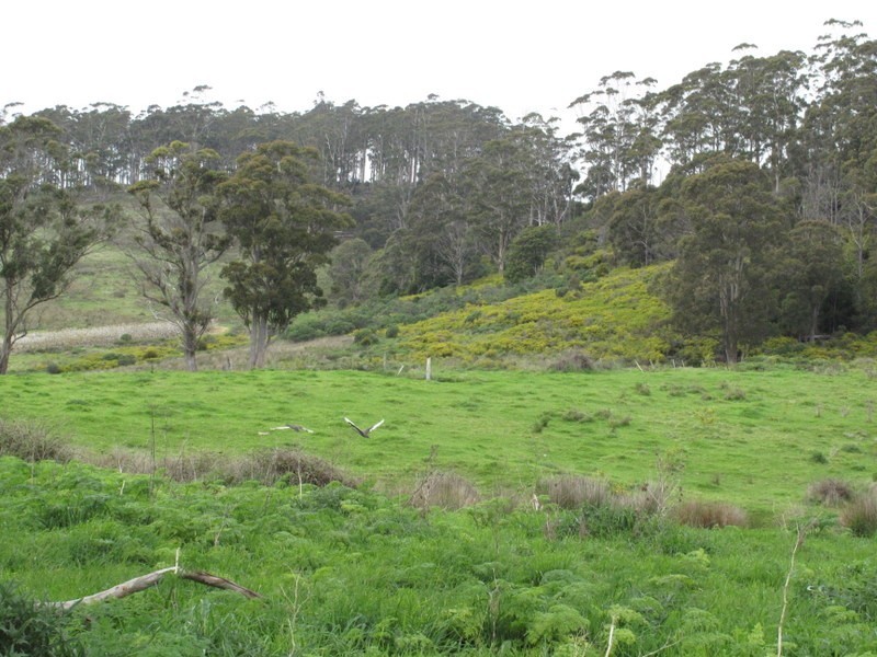 Lot 4 Woolleys Road, Kellevie TAS 7176