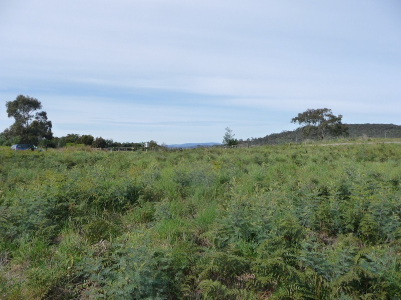 13 Clover Court, Carlton TAS 7173